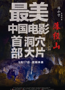 苗族一级特黄a大片